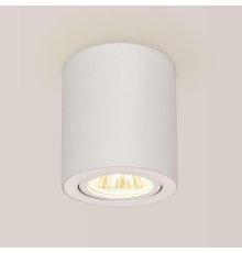 Потолочный светильник Citilux Дюрен CL538111