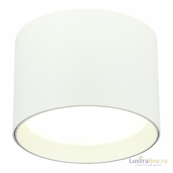 Накладной светильник ST Luce ST163.502.01 Накладной светильник ST Luce ST163.502.01