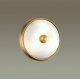 Настенно-потолочный светильник Odeon Light Pelow 4956/2