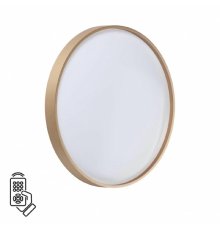 Настенно-потолочный светильник Sonex Tan Gaby 7783/DL