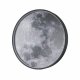 Настенно-потолочный светильник Escada Planet 10226/SG LED Moon