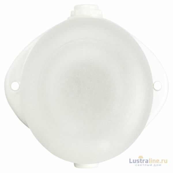 Настенно-потолочный светильник Эра НББ 02-60-001 Б0064005