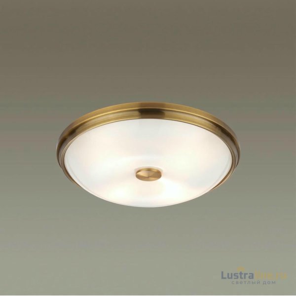 Настенно-потолочный светильник Odeon Light Pelow 4956/4