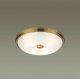Настенно-потолочный светильник Odeon Light Pelow 4956/4