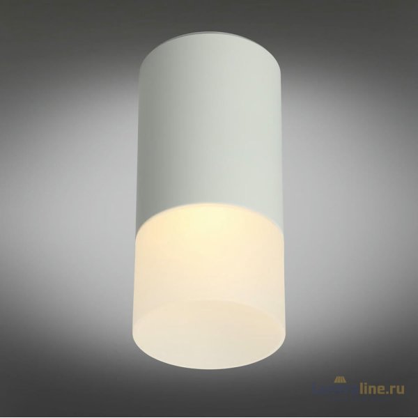 Потолочный светильник Omnilux Lucido OML-100609-01 Потолочный светильник Omnilux Lucido OML-100609-01
