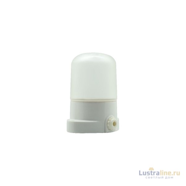 Настенно-потолочный светильник Эра НББ 02-60-001 Б0064005