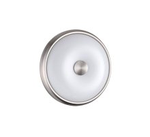 Настенно-потолочный светильник Odeon Light Pelow 4957/2