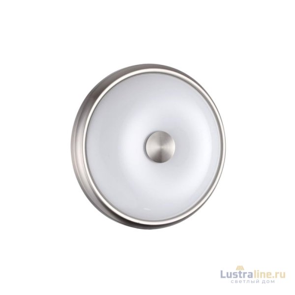 Настенно-потолочный светильник Odeon Light Pelow 4957/2