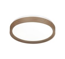 Настенно-потолочный светильник Sonex Woodi 7603/EL