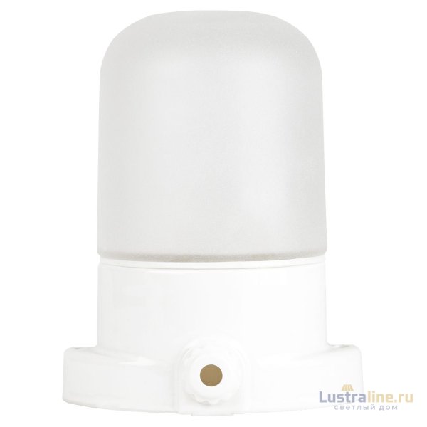 Настенно-потолочный светильник Эра НББ 02-60-001 Б0064005