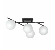 Настенно-потолочный светильник Citilux Dorsy CL223142