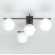 Настенно-потолочный светильник Citilux Dorsy CL223142