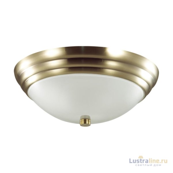 Настенно-потолочный светильник Lumion Vintage 5262/2C