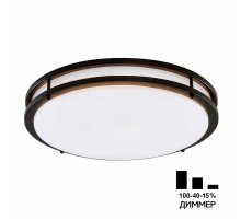 Настенно-потолочный светильник Citilux Бостон CL709505N