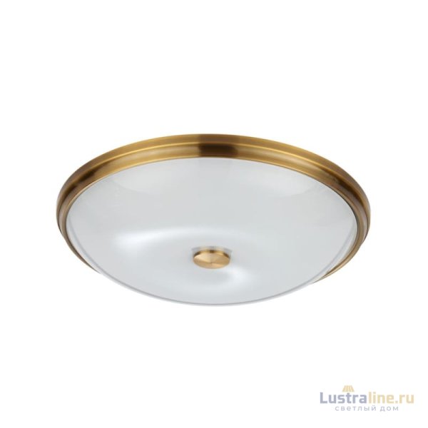 Настенно-потолочный светильник Odeon Light Pelow 4956/5