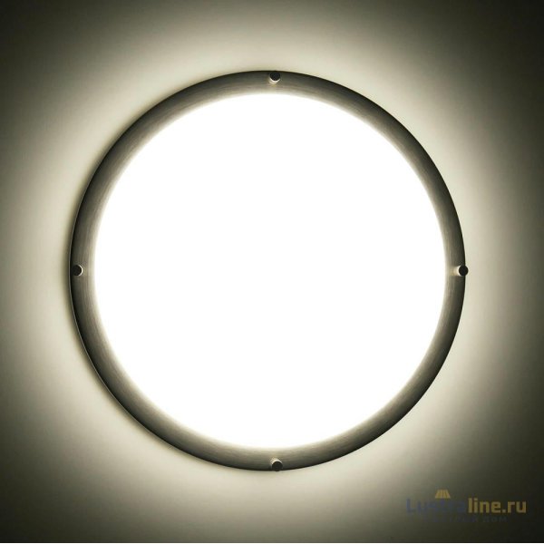 Настенно-потолочный светильник Citilux Бостон CL709321N Настенно-потолочный светильник Citilux Бостон CL709321N