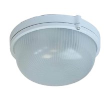 Настенно-потолочный светильник ЭРА НБП 03-100-001 Б0048420