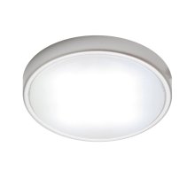 Настенно-потолочный светильник (4 шт.) Apeyron 12-04