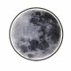 Настенно-потолочный светильник Escada Planet 10226/SG LED Moon