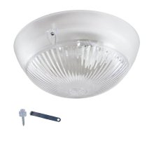 Настенно-потолочный светильник ЭРА НБП 06-60-011 Б0048409