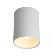 Потолочный светильник Omnilux Cariano OML-101209-01