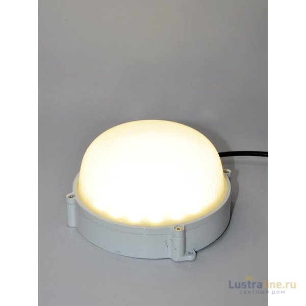 Настенно-потолочный светильник Elvan NLS-2204