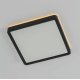 Настенно-потолочный светильник Citilux Norma CL748K201