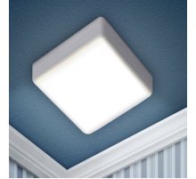 Настенно-потолочный светильник Эра LED 16-18-6K Б0054339