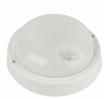 Настенно-потолочный светильник Эра SPB-201-3-65K-008 Б0062529