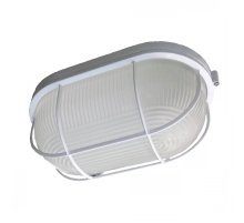 Настенно-потолочный светильник ЭРА НБП 04-100-002 Б0048426