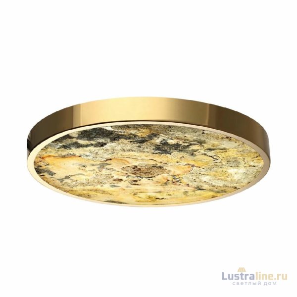 Настенно-потолочный светильник Odeon Light Bergi 5079/40L