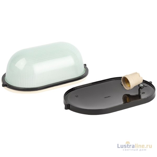 Настенно-потолочный светильник Эра НБП 04-100-001 черный Б0063863