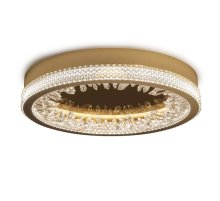 Настенно-потолочный светильник Delight Collection XD-50 gold