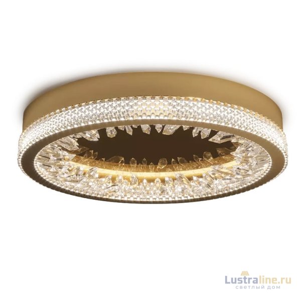 Настенно-потолочный светильник Delight Collection XD-50 gold Настенно-потолочный светильник Delight Collection XD-50 gold