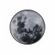 Настенно-потолочный светильник Escada Planet 605/S LED Moon