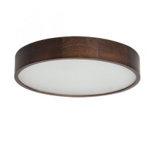 Настенно-потолочный светильник Kanlux Jasmin 470-WE 23122