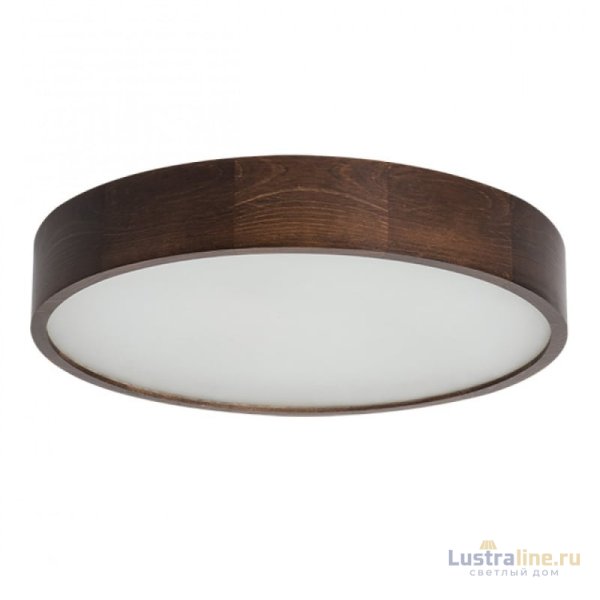 Настенно-потолочный светильник Kanlux Jasmin 470-WE 23122 Настенно-потолочный светильник Kanlux Jasmin 470-WE 23122