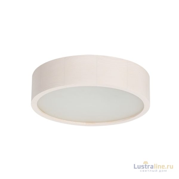 Настенно-потолочный светильник Kanlux Jasmin 270-W 23123 Настенно-потолочный светильник Kanlux Jasmin 270-W 23123