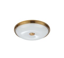 Настенно-потолочный светильник Odeon Light Pelow 4956/4