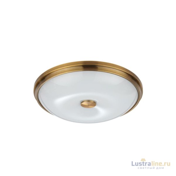 Настенно-потолочный светильник Odeon Light Pelow 4956/4