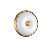 Настенно-потолочный светильник Odeon Light Pelow 4956/2