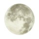 Настенно-потолочный светильник Sonex Moon 3084/DL