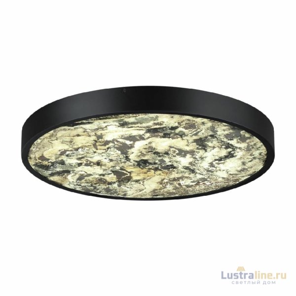 Настенно-потолочный светильник Odeon Light Bergi 5064/40L