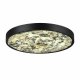 Настенно-потолочный светильник Odeon Light Bergi 5064/40L