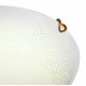 Настенно-потолочный светильник Sonex Ammonite 7602/DL