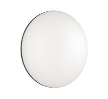 Настенно-потолочный светильник Sonex Vaka 3042/DL