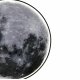 Настенно-потолочный светильник Escada Planet 605/S LED Moon
