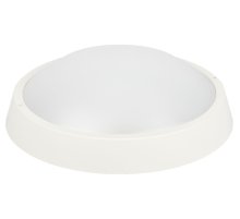 Настенно-потолочный светильник Эра SPB-203-0-40К-024 Б0062728