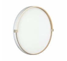 Настенно-потолочный светильник Sonex Olidi white 7646/DL