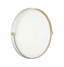 Настенно-потолочный светильник Sonex Olidi white 7646/DL